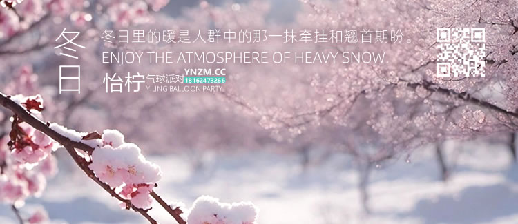 1769232553866977.jpg 冬日雪梅推广横板图带码.jpg
